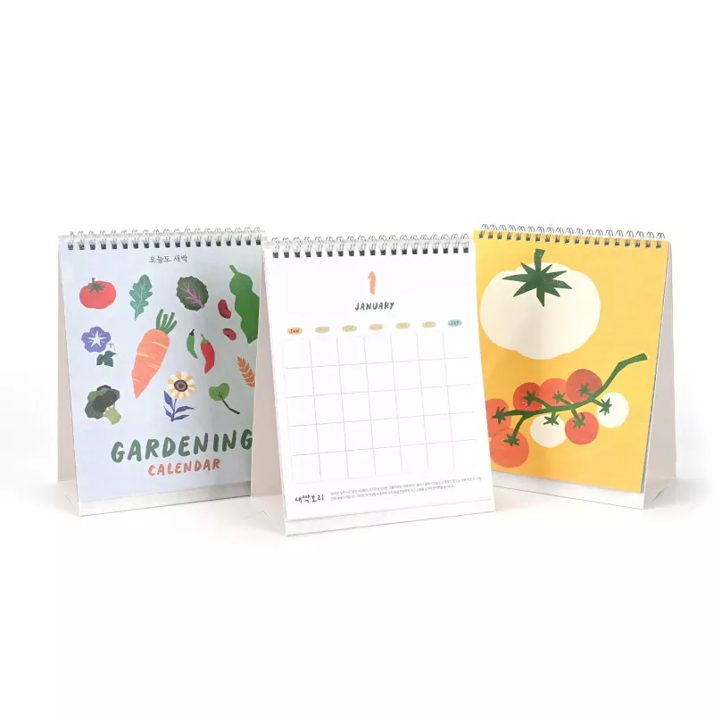 Kit de adesivos DIY para calendário